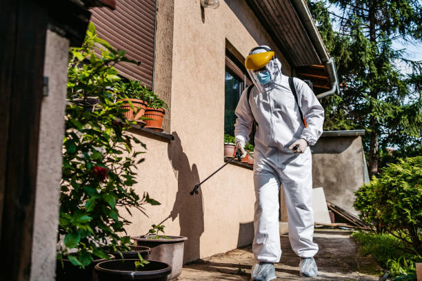 Best Pest Control Near Me in Wilder, VT