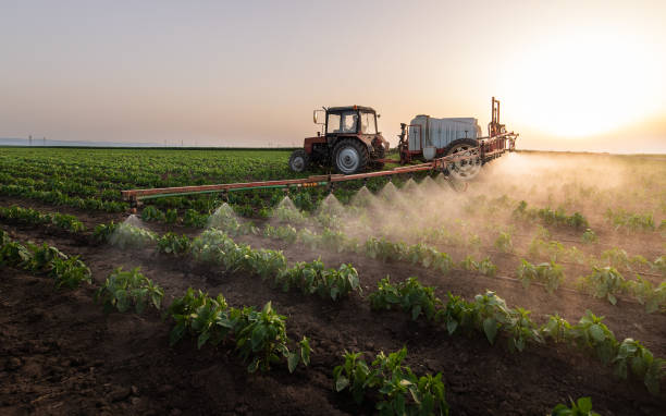 Pest Control Cost in Wilder, VT