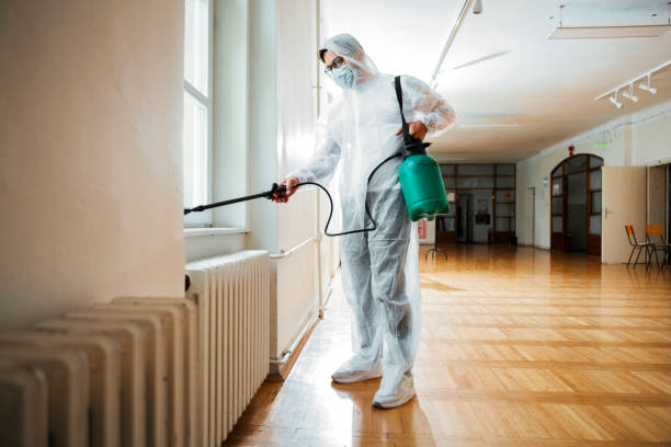 Best Affordable Pest Control Services  in Wilder, VT