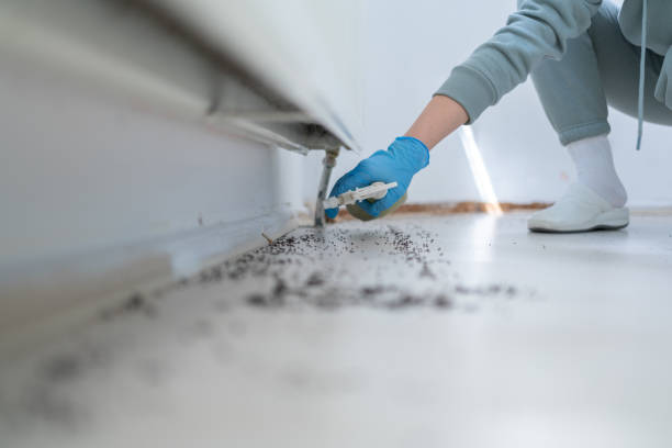 Best Best Pest Control Companies  in Wilder, VT